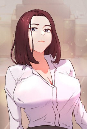 钢之炼金术师 封面